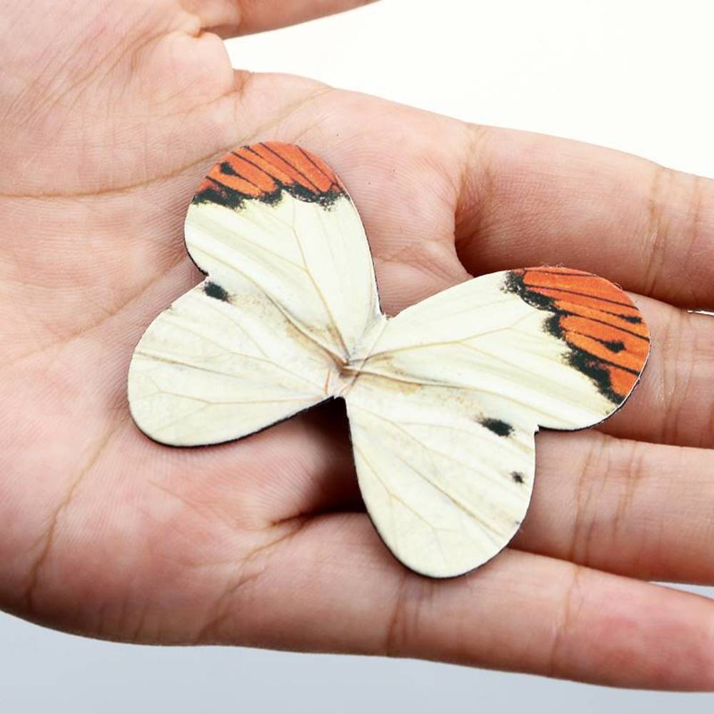 4 unids/set animales de dibujo - Paperclip Magnetic Set reseña y precio